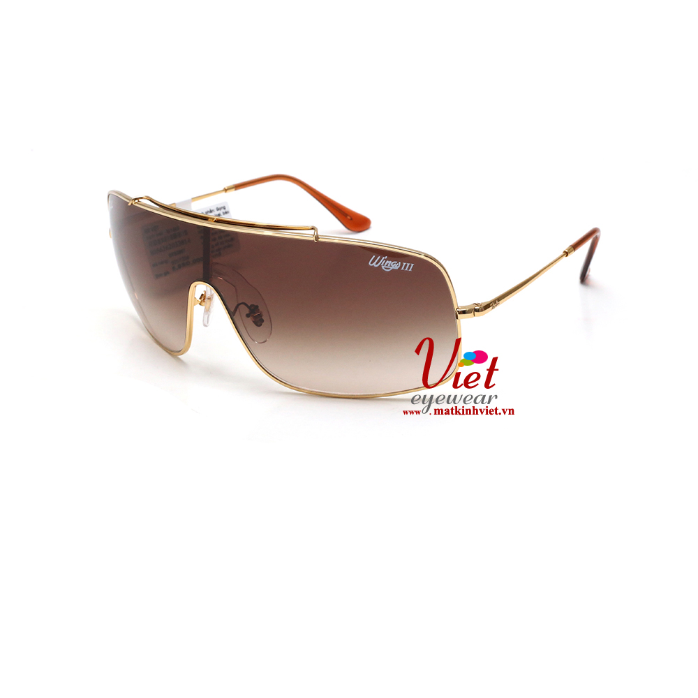 Kính mát RayBan RB3697 001/13